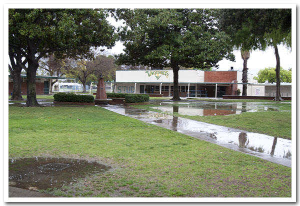 Wet and Rainy Quad