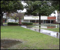Wet and Rainy Quad