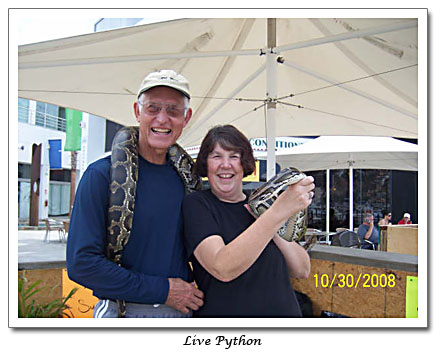 Live Python